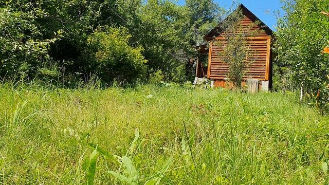 Не могу я убежать от суеты...