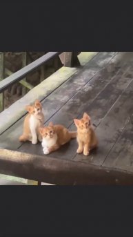 Нам надо серьёзно поговорить