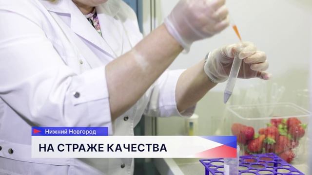 В Роспотребнадзоре Нижегородской области рассказали, как правильно выбрать фрукты и овощи