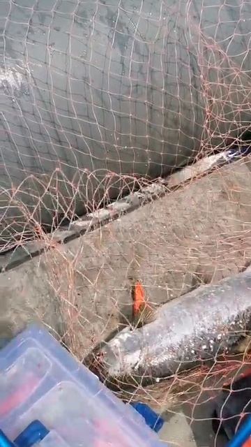Олегу Морозу, спасибо за отчёт 😎👍
