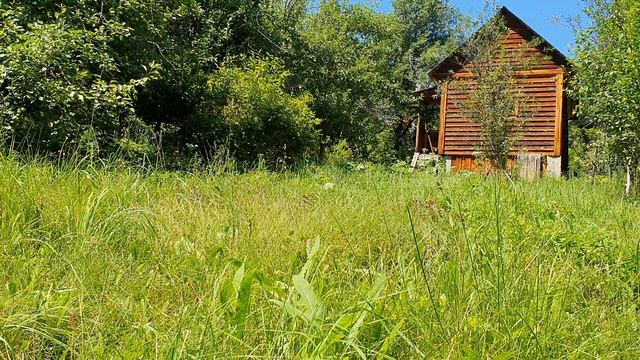 Хотел бы знать, чем дышишь ты ночами...