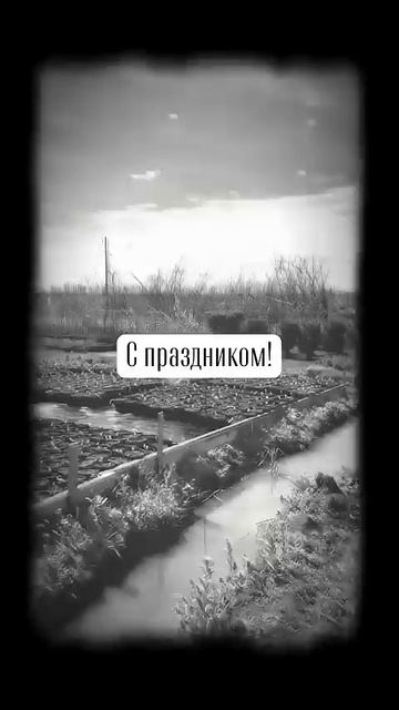 С праздником 9 мая! С Днём Победы!