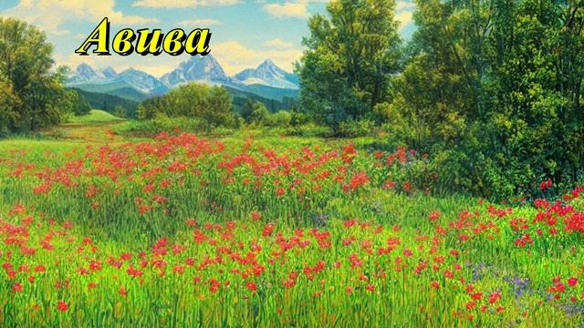 Авива