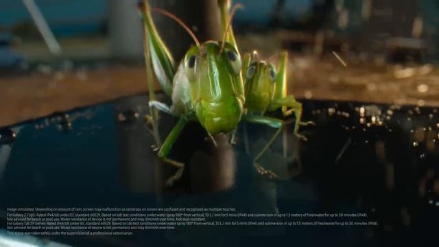 Samsung - Galaxy Z Flip5 (2023)