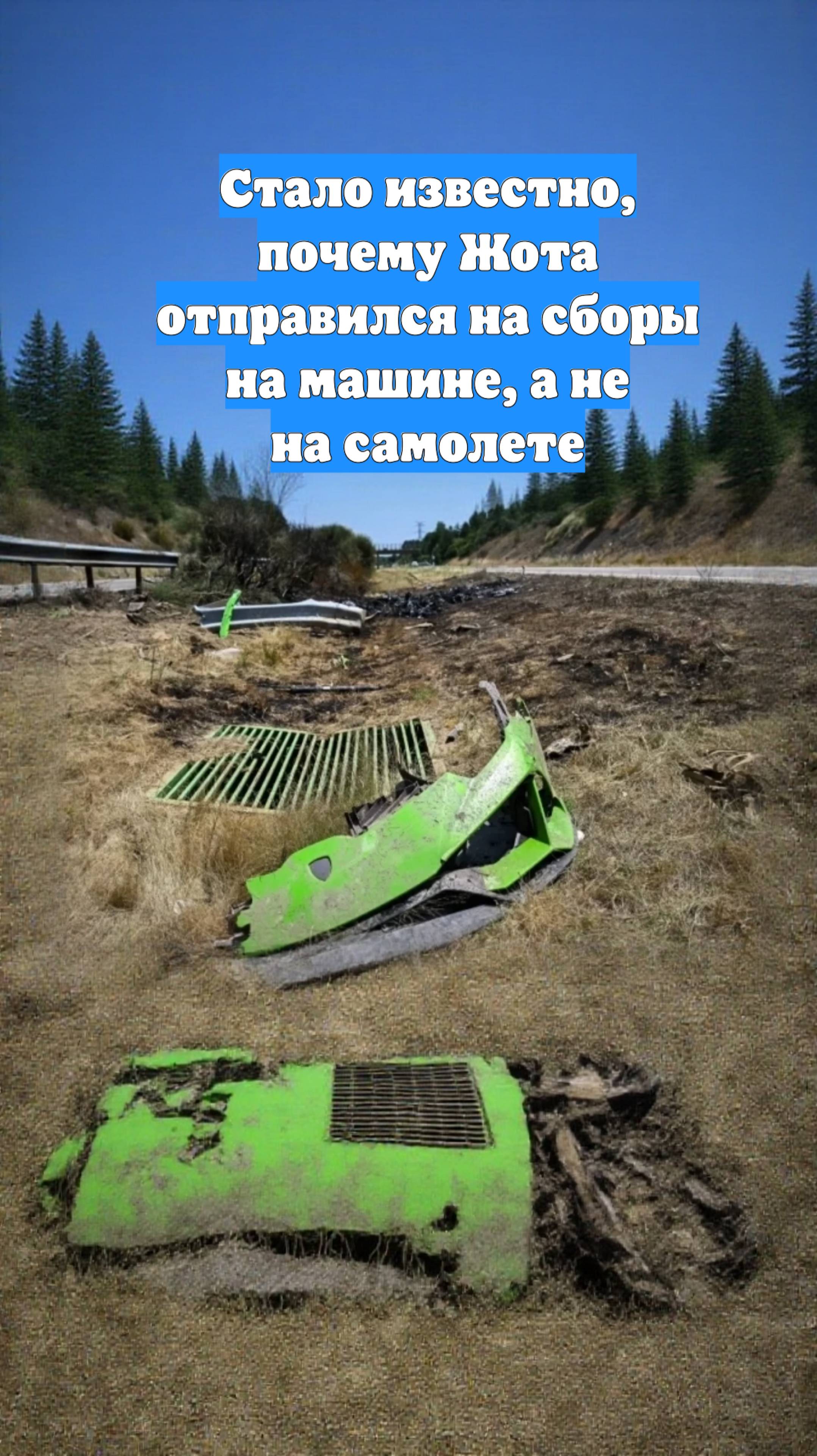 Стало известно, почему Жота отправился на сборы на машине, а не на самолете