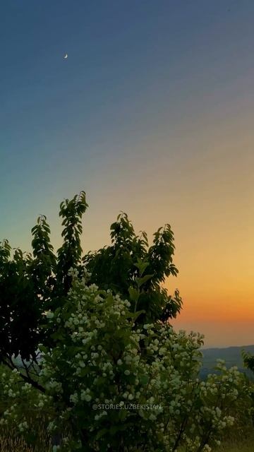 #travel #nature #automobile #mountains #sunset #rek #shorts #o'zbekiston