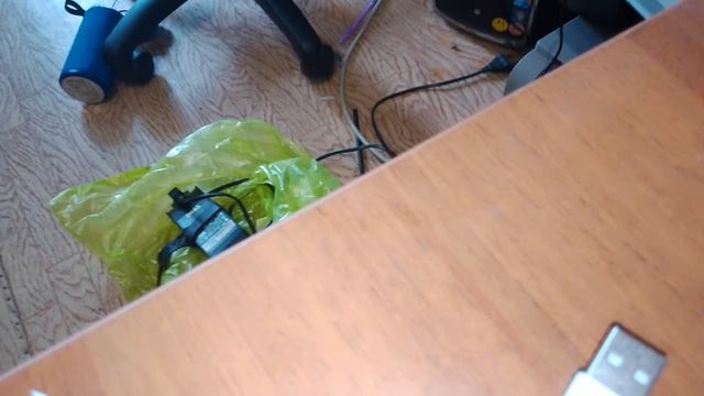 Вовчик пропал два