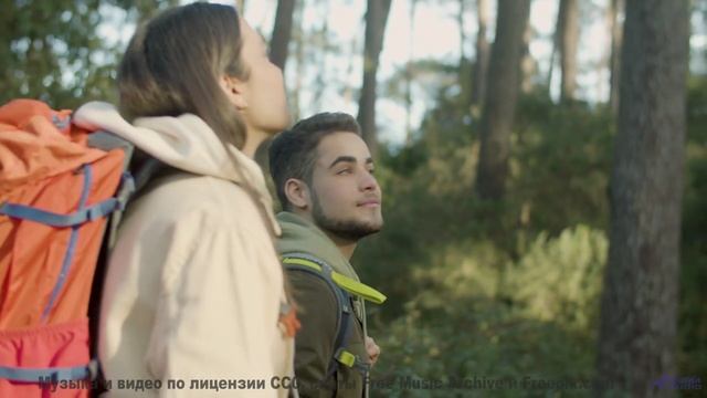 Мелодия двигает облака прямо на ваших глазах - Ode to a Dandelion -- Glad Rags -- Wonder Under