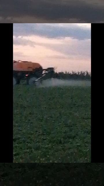 petal_20250704_030120.mp4