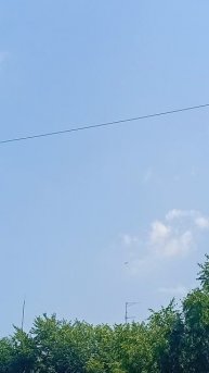 Люблю птиц снимать на видео