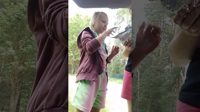 мы едем в Крым влог 3