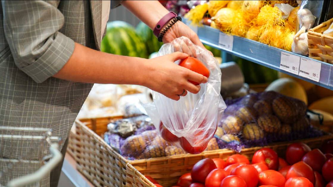 Россияне могут столкнуться с ростом цен на овощи из-за нехватки семян