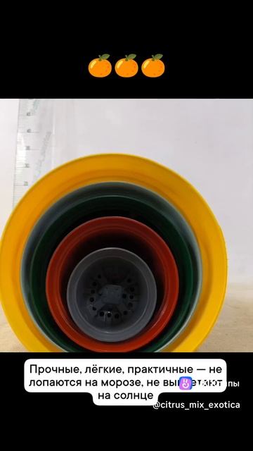 Покажите ваш самый яркий горшок!