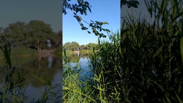 1000023961.mp4