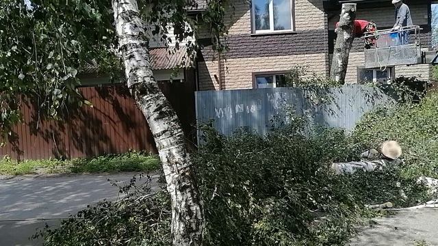5.07.2025.С.Ильинское.Обзор проведённых работ. Часть3. Домодедово. Московская область. Решаем пробле