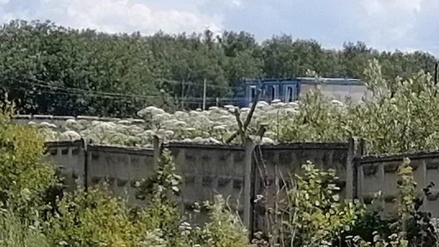 5.07.2025.С.Ильинское.Обзор проведённых работ. Часть1. Домодедово. Московская область. Решаем пробле