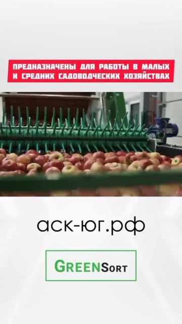 Предлагаем линии сортировки яблок GreenSort для малых садоводческих хозяйств