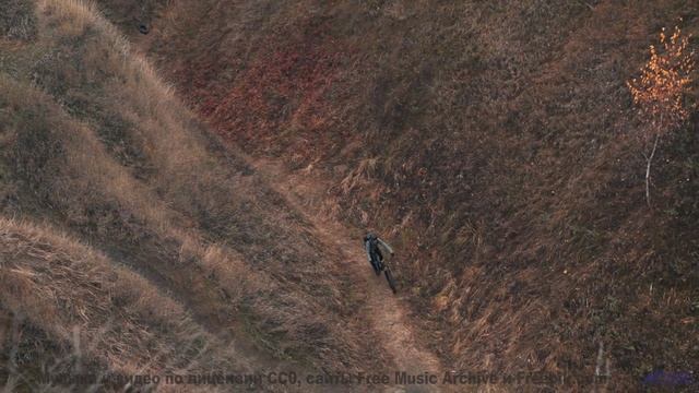 Сердце танцует, а разум отдыхает при этом клипе - New Skin -- Podington Bear -- Meet Podington Bear