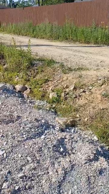 VIDEO-2025-07-04-17-44-38