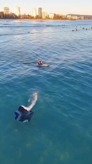 -2875408177921459052