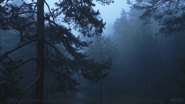 Идеальный саундтрек для вашего самого романтичного вечера! - DGAF -- Kiggler -- Between The Lines