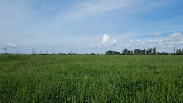 12,8 га Ям-Ижора промка