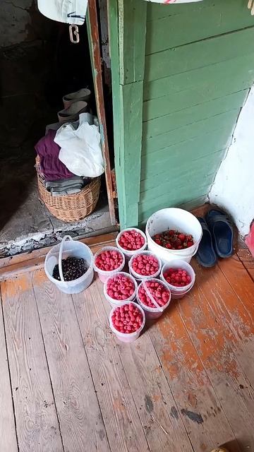 МАГИЯ МАЛЕНЬКИХ ШАГОВ 💥