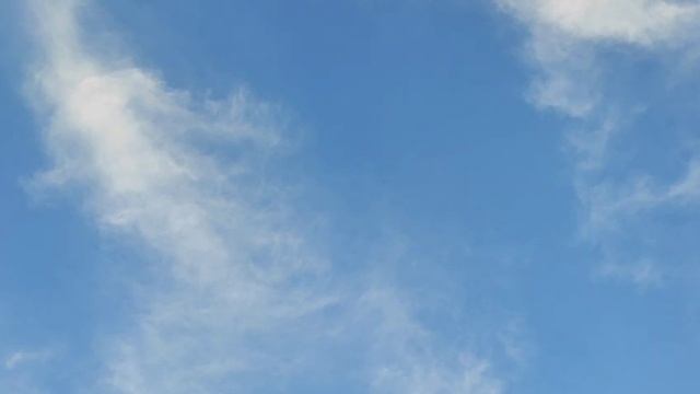 Видео WhatsApp 2025-07-04 в 20.02.29_8ad713b8