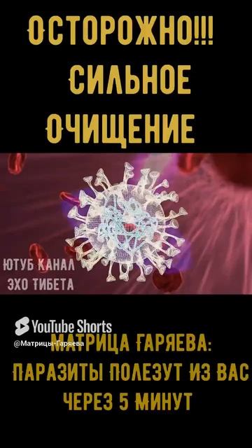 Матрица Гаряева для очистки от паразитов  Через 5 минут они с вас полезут