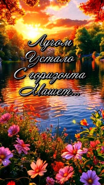 #добрыйвечер