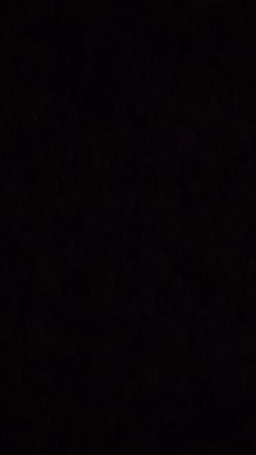 PXL_20250221_172219681