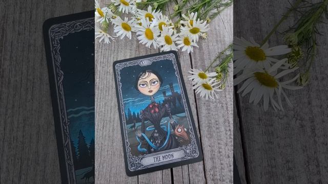 Львы ♌, совет на неделю с 7 по 13 июля.