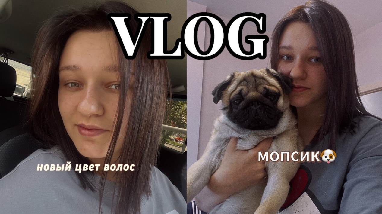 VLOG: Покрасилась в новый цвет! 05.07.2025