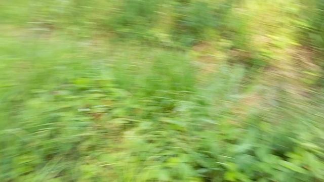 Мы опять на Могзе с палаткой