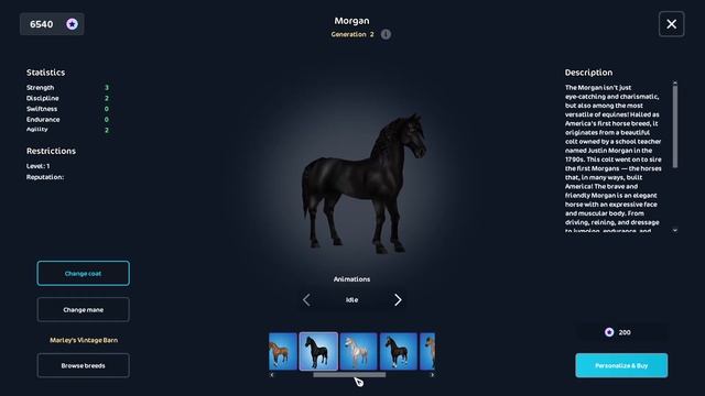 Star Stable Online | Поиски идеальных лошадей. Часть 2 | EquestrianJourney