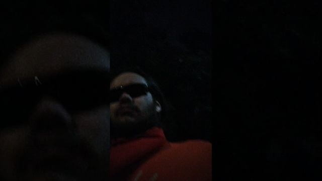 Мы идём гулять с собакой! | 5-июл-2025, 2