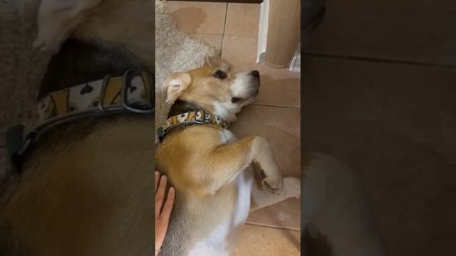 А мне по барабану, что у вас полы чистые!
