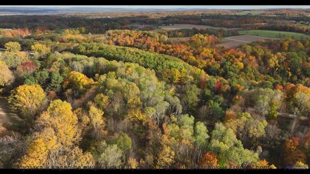 Слушай внимательно -  музыка в этом видео передаёт живое дыхание природы - NoFear -- Makaih Beats --