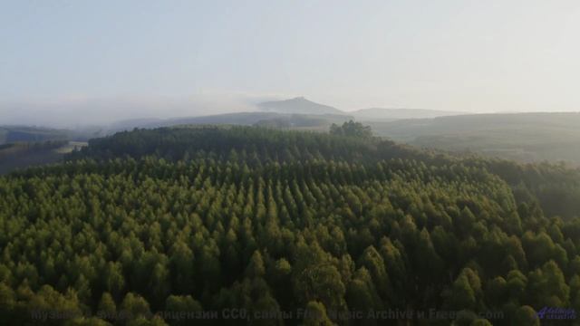 Необычные кадры природы, в которых ты почувствуешь каждую ноту - Song 1 -- G. H. Everetts -- looks a