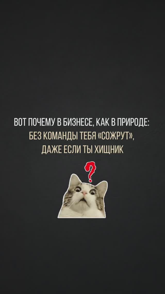 Без команды ты просто бабуин, а не бизнес-герой! 🐒🤝 Согласен? Сохрани!