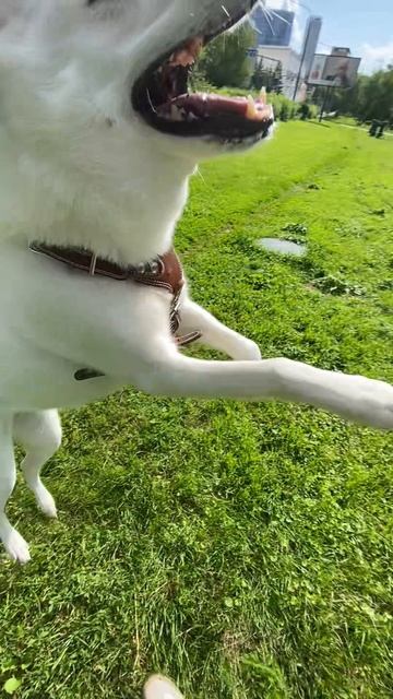 Мы снова здесь😊👌