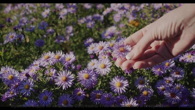 Ты влюбишься в музыку, которая сопровождает пейзажи - I Wake Up -- En attendant Ana -- Songs from th