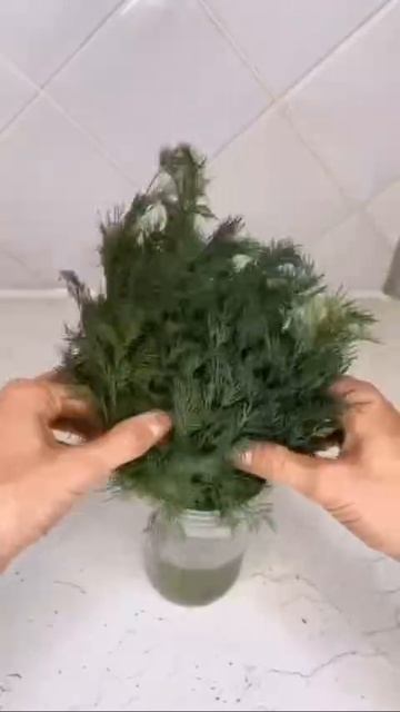 How to keep dill fresh