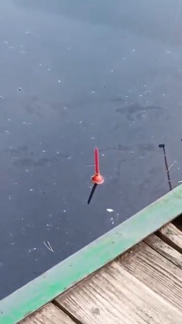 Рыбалка на малька