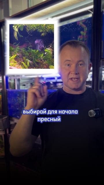 Хочу аквариум! Что делать?