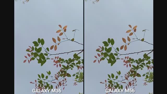 Samsung Galaxy M36 против Galaxy m56 - сравнение камер в реальной жизни
