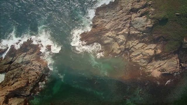 Видео о природе!