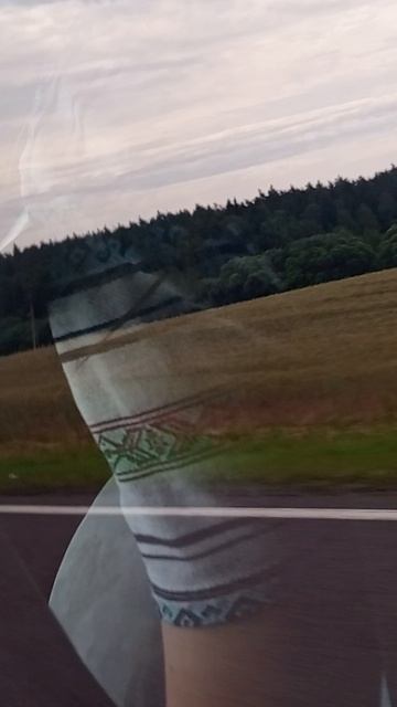 едим в москву