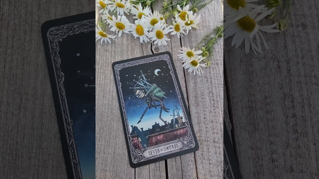 Козероги ♑, совет на неделю с 7 по 13 июля.