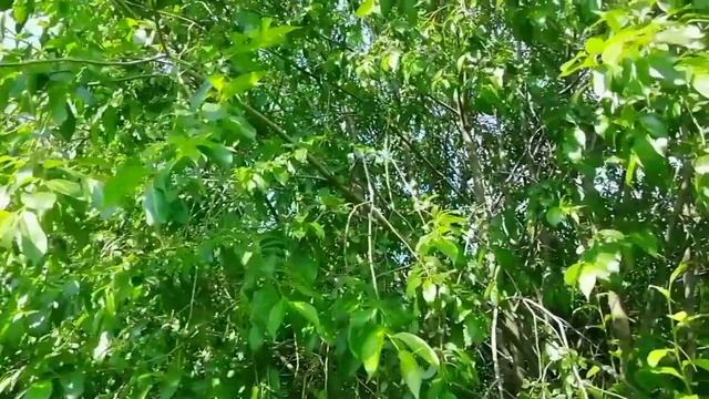 Расцеловать бы всё блаженство!